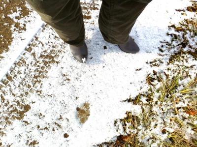 post-1349-0-66165500-1358516741_thumb.jp