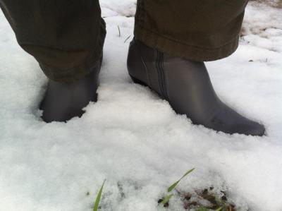 post-1349-0-98744000-1358516772_thumb.jp