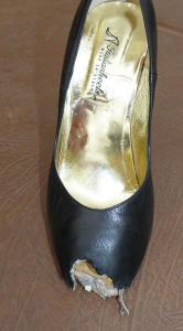 post-1756-0-17437000-1357486198_thumb.jp