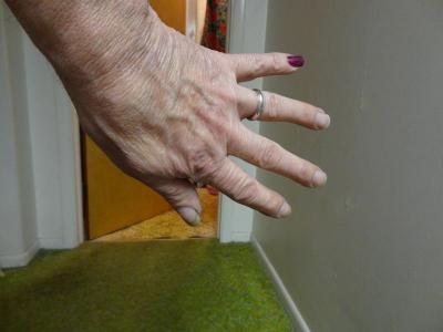 post-2962-0-82539200-1358575733_thumb.jp