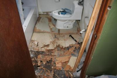 post-12379-0-45528200-1360659705_thumb.j