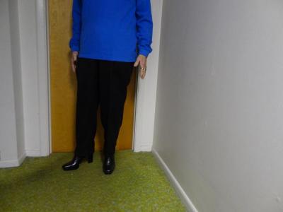 post-2962-0-52200600-1360637701_thumb.jp