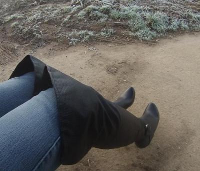 post-1349-0-06106400-1391529973_thumb.jp