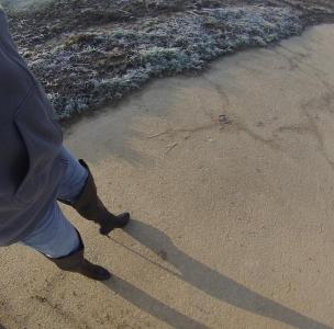 post-1349-0-95869200-1391530013_thumb.jp