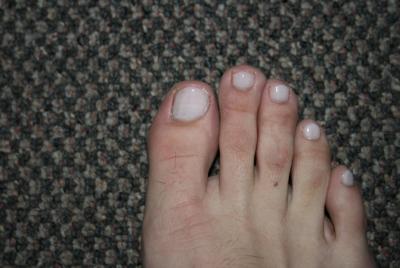 post-15175-133522936738_thumb.jpg