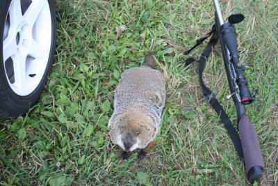 post-12379-0-44714100-1364177849_thumb.j