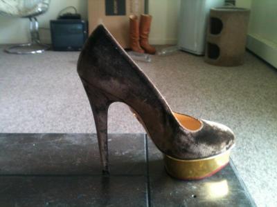 post-18564-0-90352200-1425799438_thumb.j