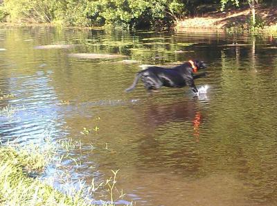 post-2198-0-63665300-1426167561_thumb.jp