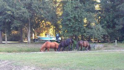 post-2198-0-86410600-1426167626_thumb.jp