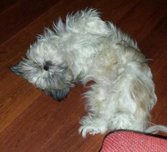 post-25705-0-86828100-1426378988_thumb.j