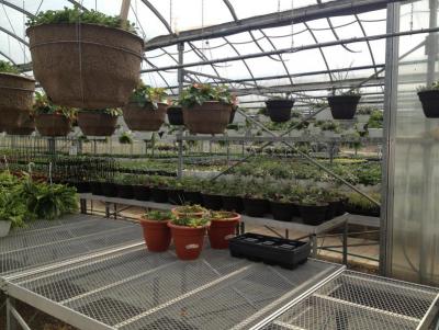 post-12379-0-14257400-1365970554_thumb.j