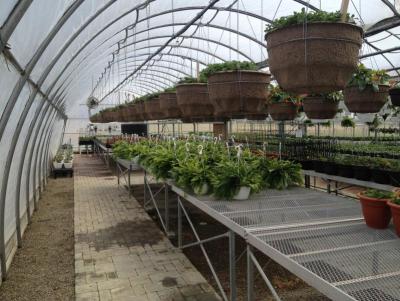 post-12379-0-66122000-1365970569_thumb.j