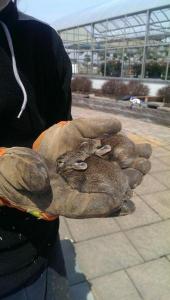 post-12379-0-84472700-1397966130_thumb.j