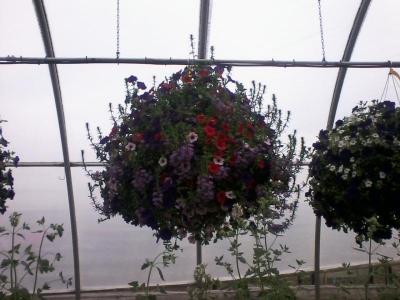 post-12379-0-13074200-1402974298_thumb.j