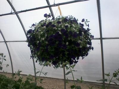 post-12379-0-44949900-1402974305_thumb.j