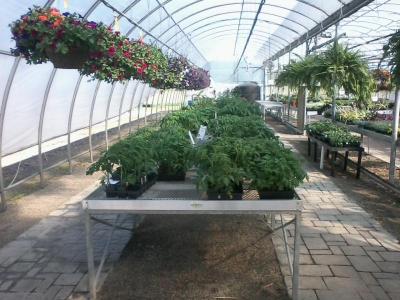 post-12379-0-50299500-1402632472_thumb.j