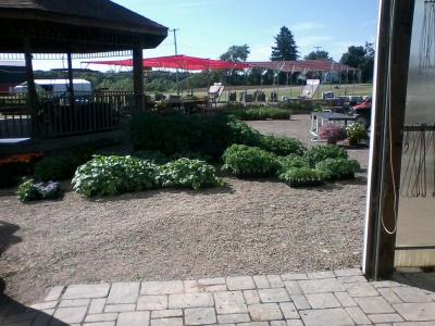 post-12379-0-91213200-1402632507_thumb.j