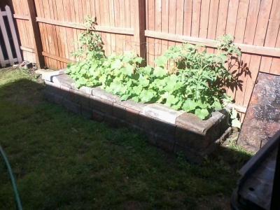 post-12379-0-20839800-1404508259_thumb.j