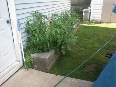 post-12379-0-70402600-1404508250_thumb.j