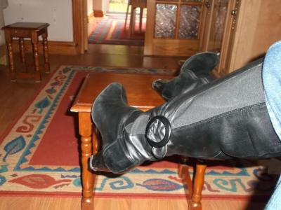 post-3747-0-86918100-1410170516_thumb.jp