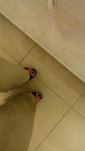 post-19067-0-67842700-1351659659_thumb.j