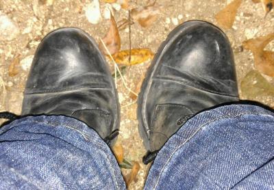 post-2198-0-88535700-1352992271_thumb.jp