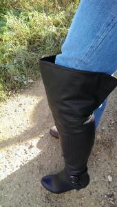 post-1349-0-31975100-1384512825_thumb.jp