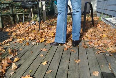 post-19325-0-55257700-1383955190_thumb.j