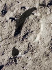 post-12051-0-90900500-1417310453_thumb.j