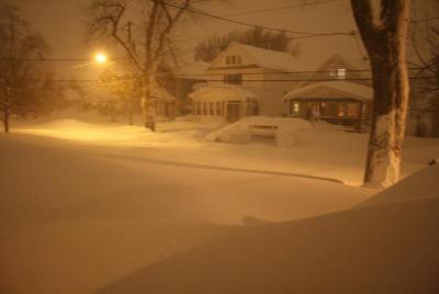 post-12379-0-22909600-1416357180_thumb.j