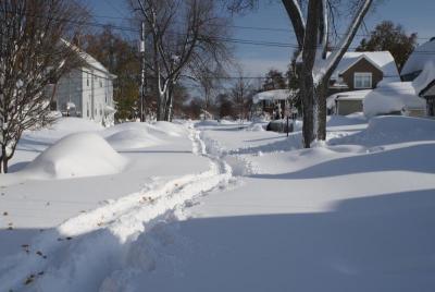 post-12379-0-36080500-1416429682_thumb.j