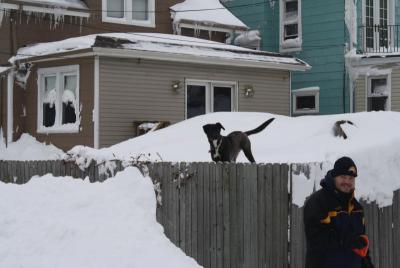 post-12379-0-54229400-1416508474_thumb.j