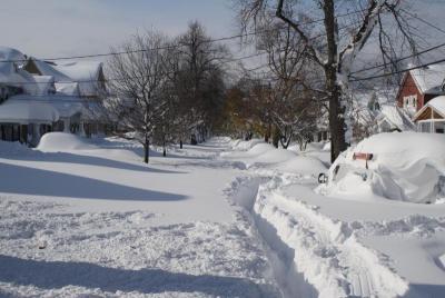 post-12379-0-60458600-1416429669_thumb.j