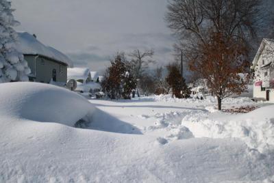 post-12379-0-71724900-1416429716_thumb.j