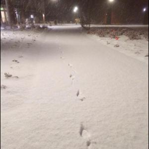 post-19325-0-11869400-1417186191_thumb.j