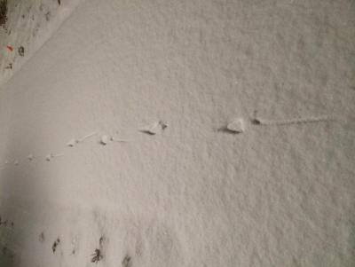 post-19325-0-29406500-1417149032_thumb.j