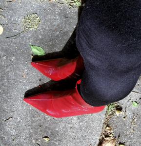 GEDC0245a.thumb.jpg.6053975254074baa4e48